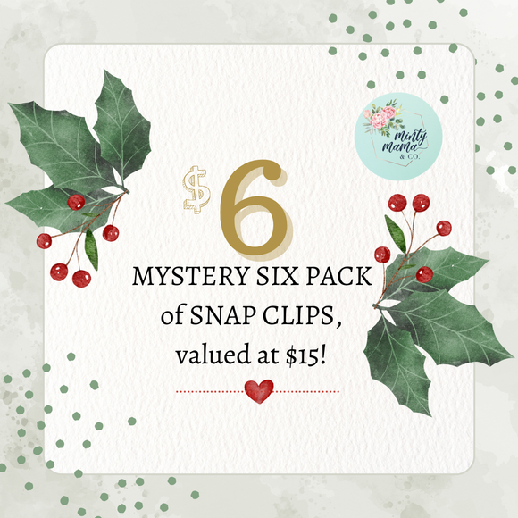 **SHOP SMALL:: Mystery SNAP CLIPS**