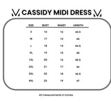 RTS:: Cassidy Midi Dress:: Micro Vintage Floral